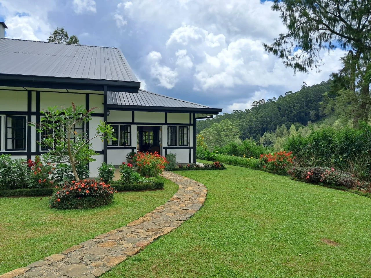 Powysland Bungalow surrounded by its hill-country garden